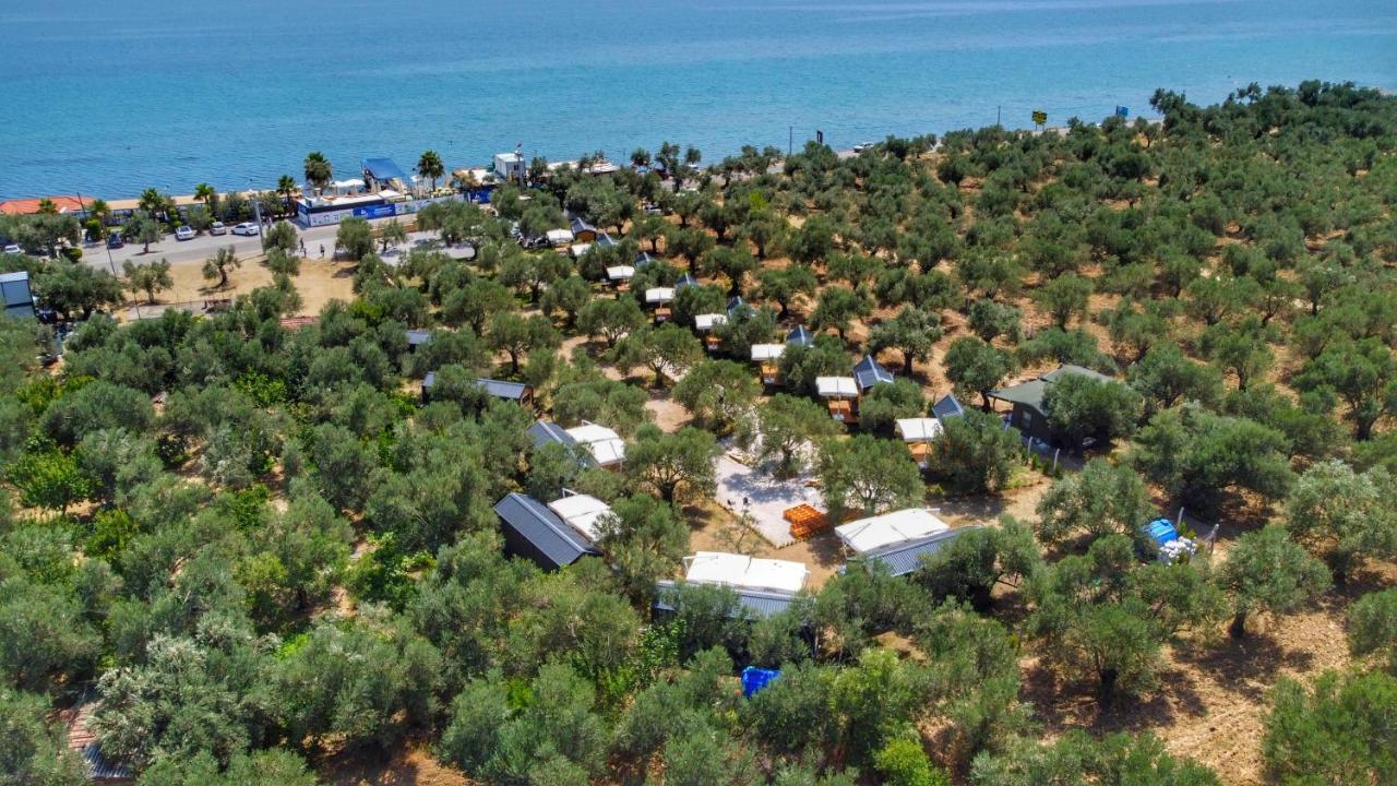 Ayvacik Gulet Tiny House Hotel מראה חיצוני תמונה