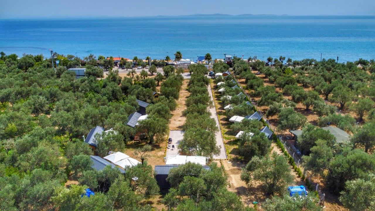 Ayvacik Gulet Tiny House Hotel מראה חיצוני תמונה