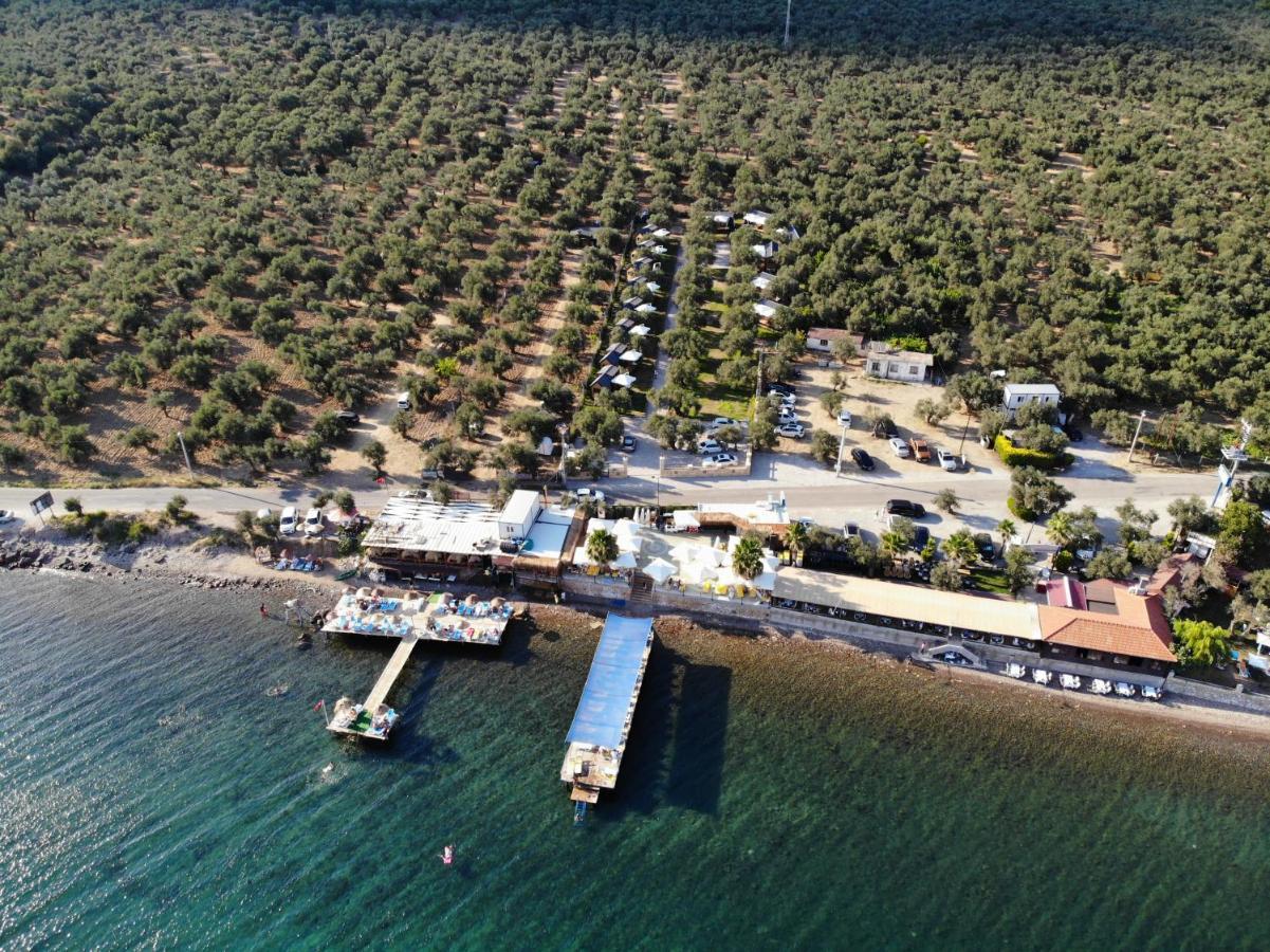 Ayvacik Gulet Tiny House Hotel מראה חיצוני תמונה