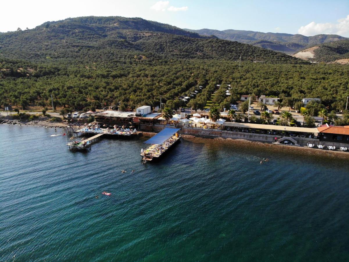 Ayvacik Gulet Tiny House Hotel מראה חיצוני תמונה