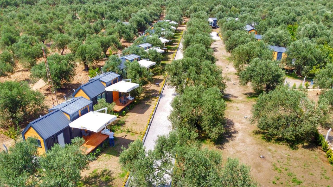 Ayvacik Gulet Tiny House Hotel מראה חיצוני תמונה