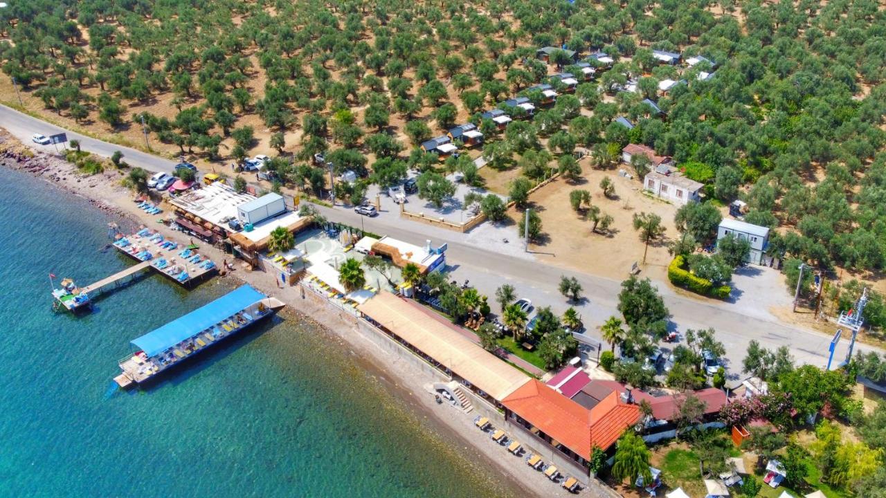 Ayvacik Gulet Tiny House Hotel מראה חיצוני תמונה