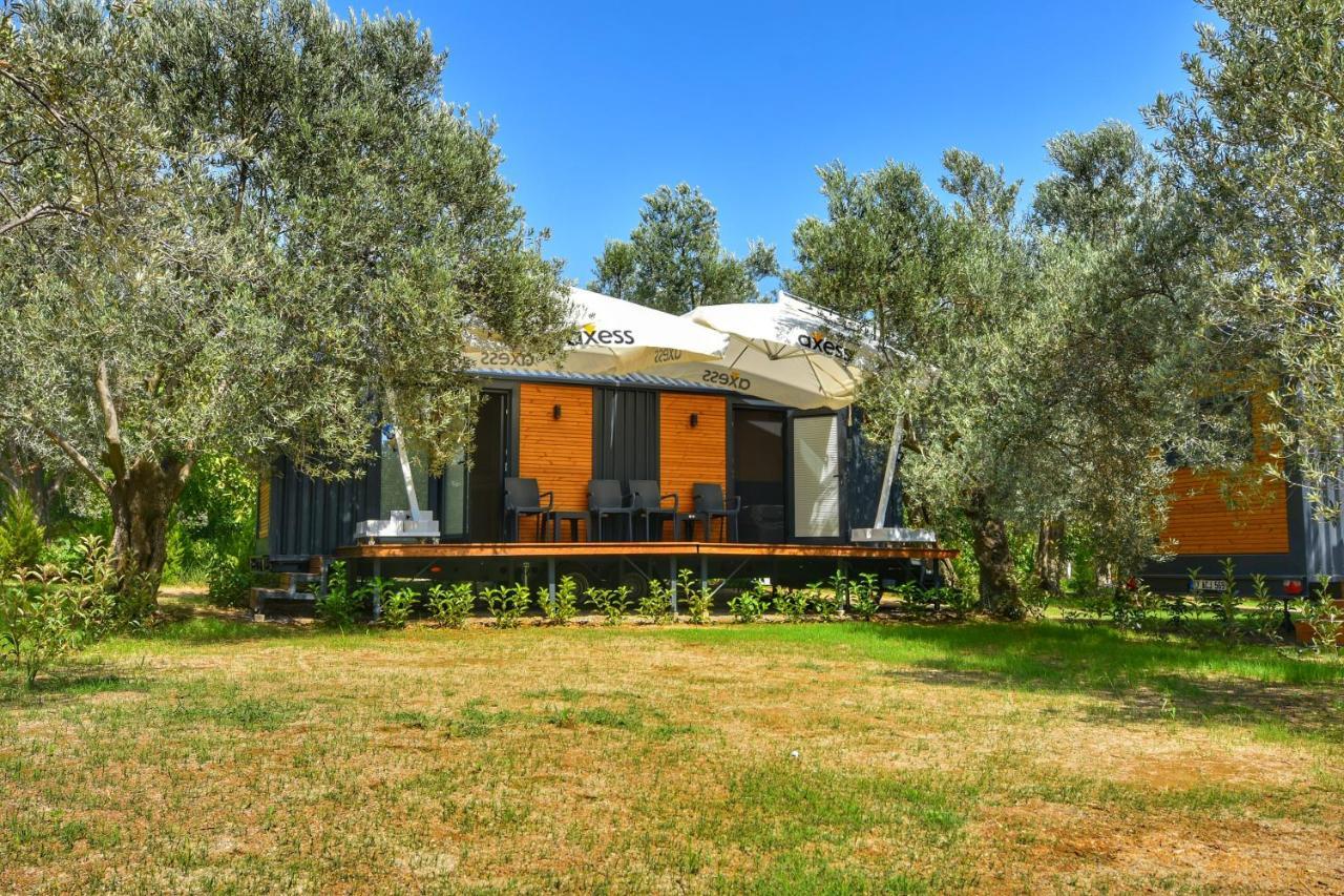 Ayvacik Gulet Tiny House Hotel מראה חיצוני תמונה